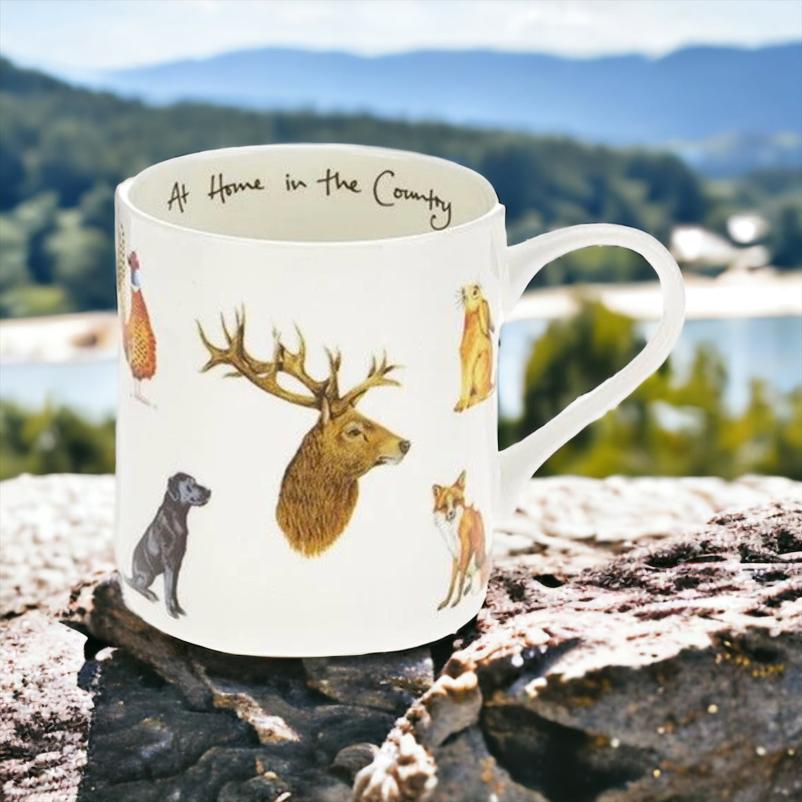 At Home in the Country Mug
