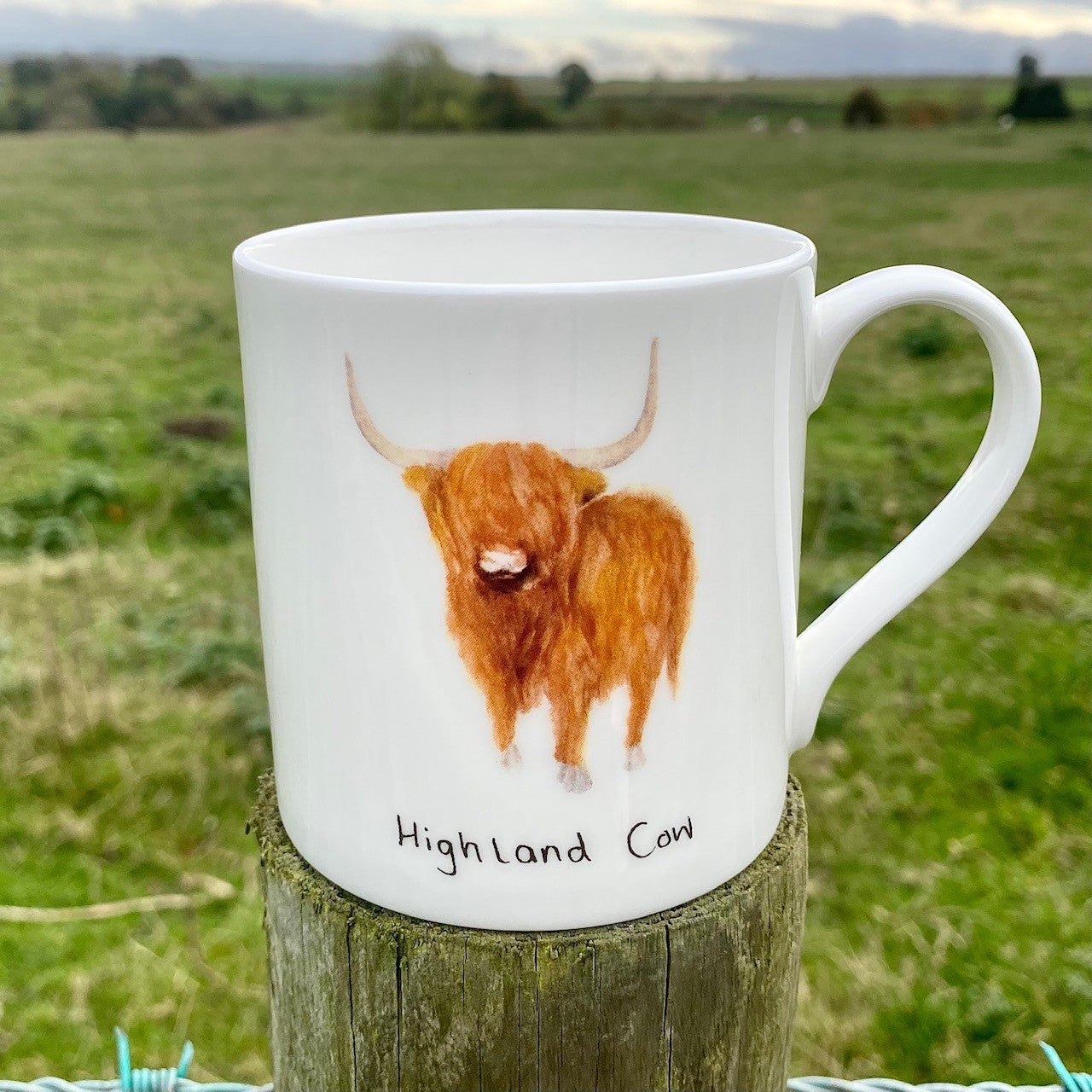Die Highland Cow-Geschenkbox mit Tasse, Taschentuch und Untersetzer